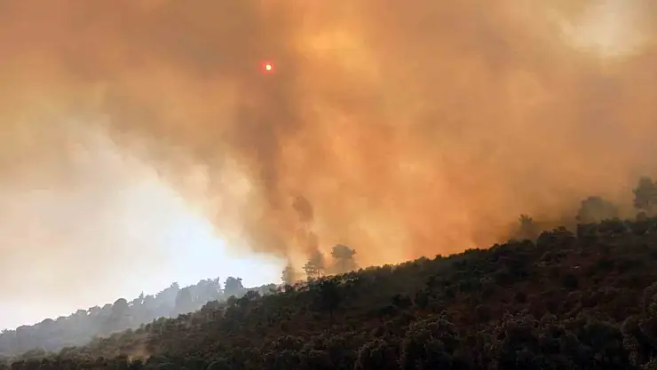 160 hektar alanı torpille yakmış
