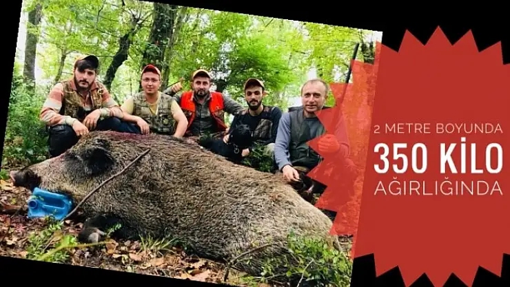 2 METRE BOYUNDA 350 KİLO AĞIRLIĞINDA