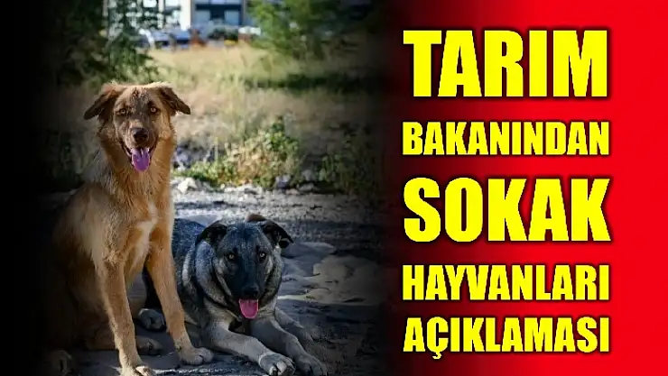2023 kuduz vakaları iki katı arttı