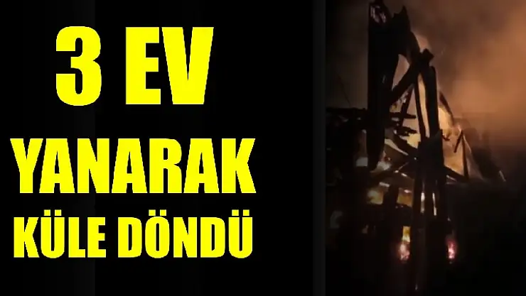 3 ev yanarak küle döndü