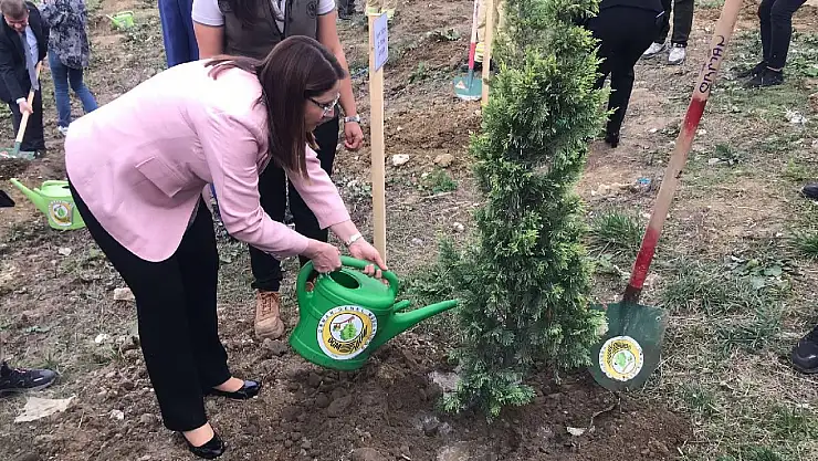 5 milyon 2023 fidan toprakla buluşacak