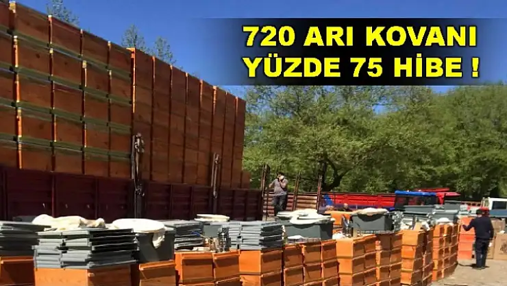 720 arı kovanı, yüzde 75 hibe