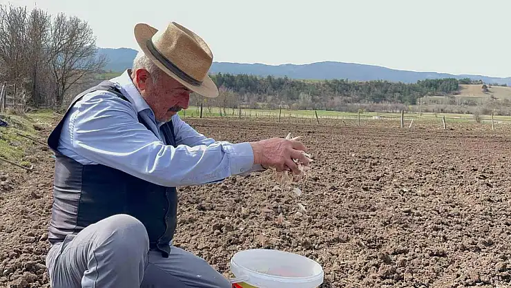 77 yaşındaki çiftçi gençlere taş çıkartıyor