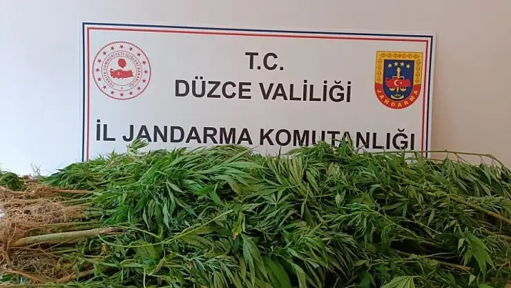 9 kilo 200 gram kubar esrar ele geçirildi