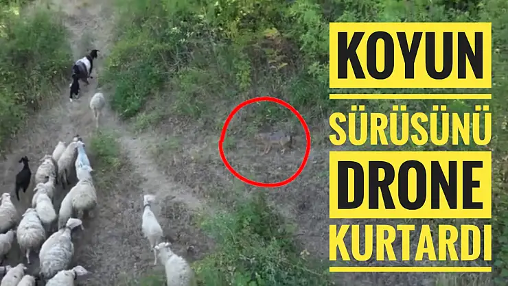 Abdipaşa'da ilginç olay