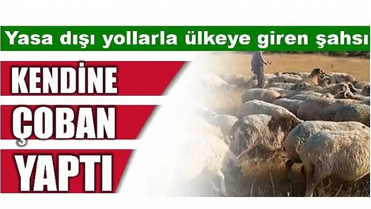 AFGAN VATANDAŞI KENDİNE ÇOBAN YAPTI! BARTIN