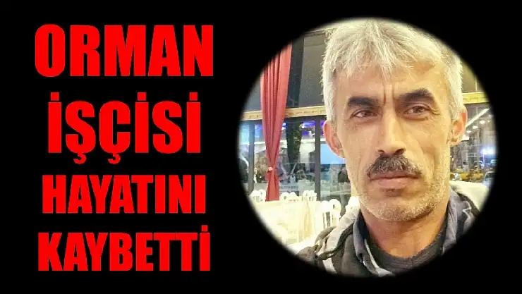 Ağaç keserken kafasına dal düştü