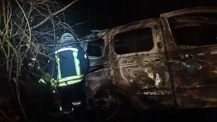 Ağaca çarpan araç alev alev yandı