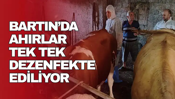 Ahırlar Tek Tek Dezenfekte Ediliyor