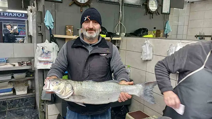 Akçakoca'da balıkçıların ağları doldu, 9 kiloluk levrek yakalandı