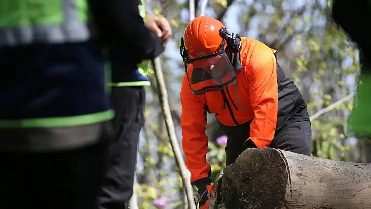 Akçakoca'da ormanda eğitim tatbikatı yapıldı