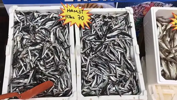 Akçakoca'dan balık tüketicilerine uyarı: