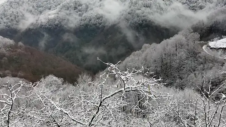 Alaplı'nın Gümeli köyüne mevsimin ilk karı düştü