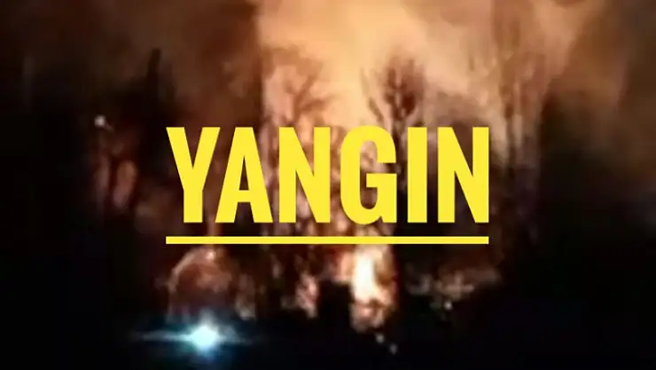 Alevler Geceyi Aydınlattı