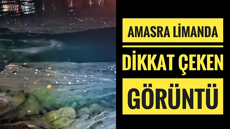 Amasra limanda dikkat çeken görüntü