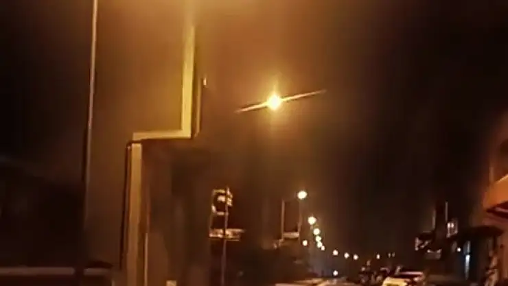 Anne ayı ve yavruları ilçe merkezine indi