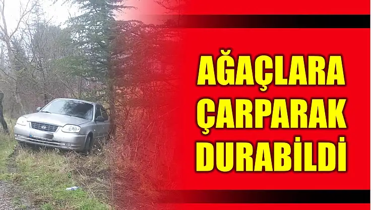 Araç yoldan çıktı