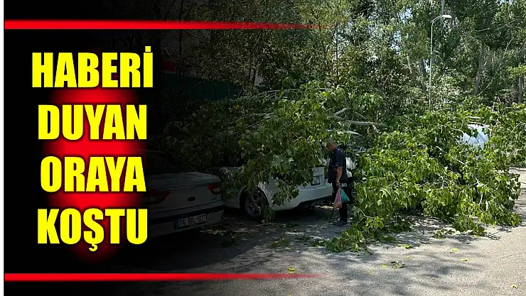 Araçların üzerine devrildi
