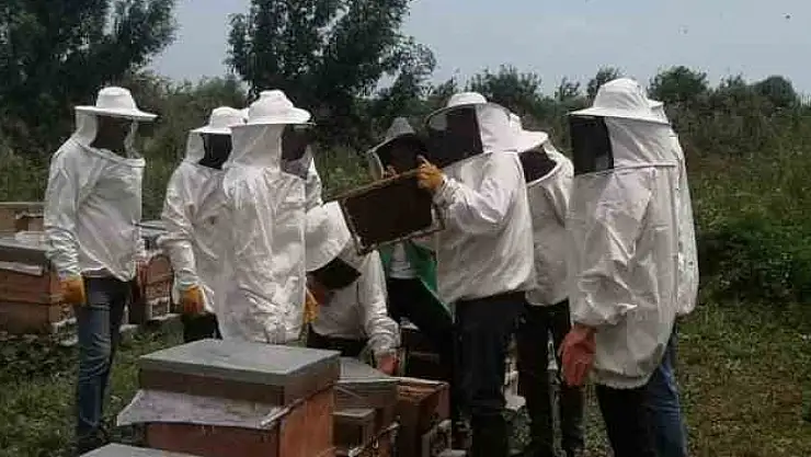 Arı kayıplarına önlem için ilaçlama uyarısı
