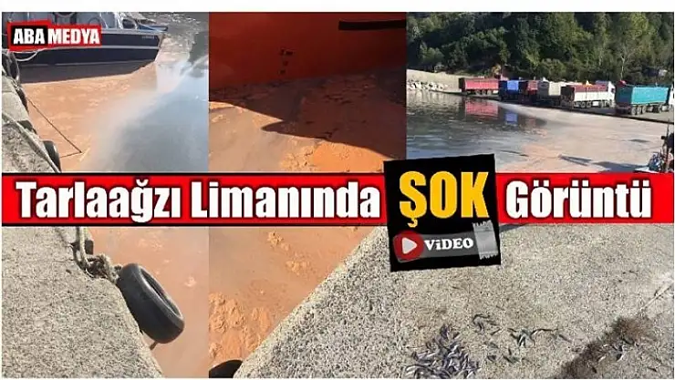 ATIKLARINI DENİZE BOŞALTTILAR!!! BARTIN