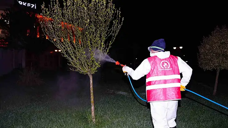Bahar ilaçlaması başladı