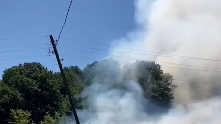 Bahçede çıkan yangın ormana sıçradı
