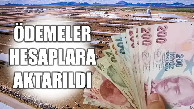 Bakanlık açıkladı