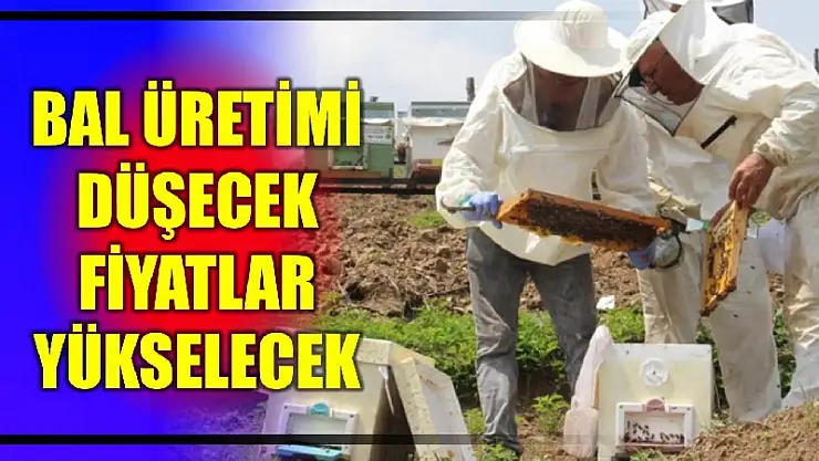 Bal üretiminde ciddi kayıp bekleniyor