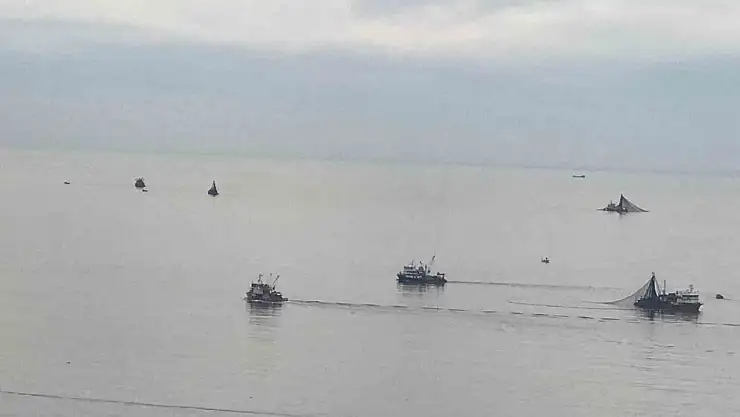 Balıkçı tekneleri Kozlu açıklarına akın etti