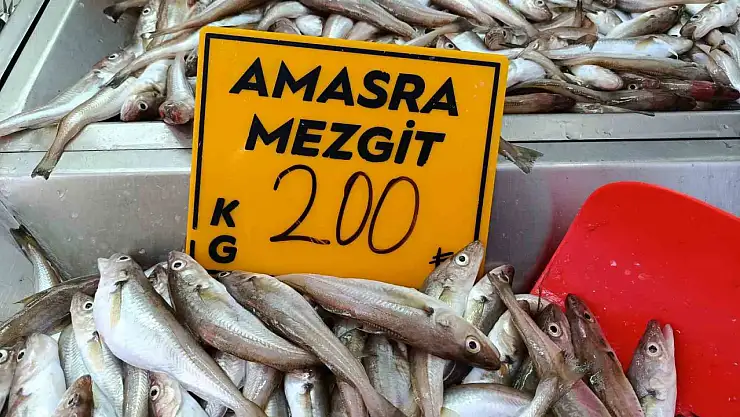 Balıkçılar palamut için 'kestane karası'nı bekliyor