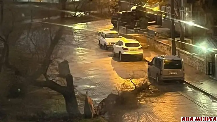 Balıkesir'de fırtına nedeni ile ağaçlar devrildi, çatılar uçtu