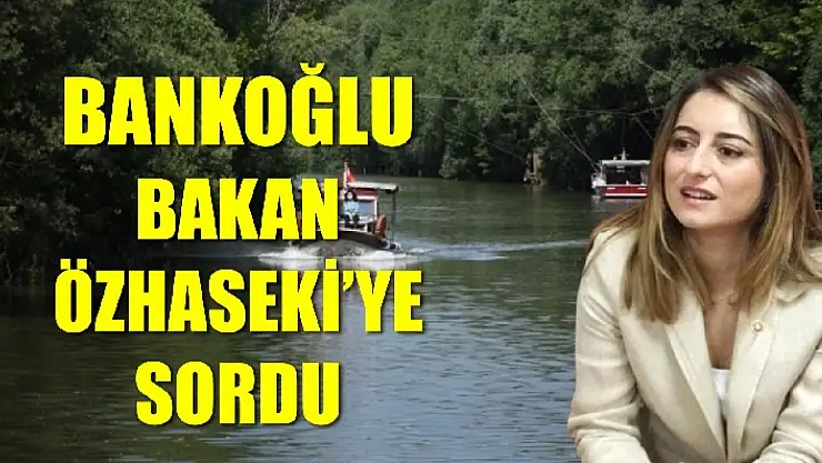 Bankoğlu'dan Irmak Islah Projesi eleştirisi