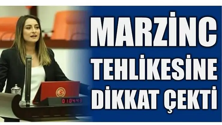 BANKOĞLU MARZİNC TEHLİKESİNE DİKKAT ÇEKTİ!