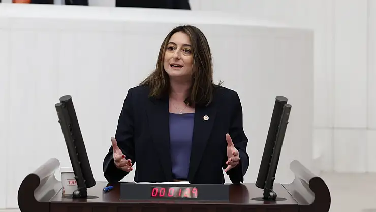 Bankoğlu, mecliste konuştu