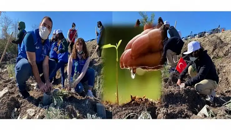 BARTIN'DA 39 BİN 500 FİDAN TOPRAKLA BULUŞTURULDU