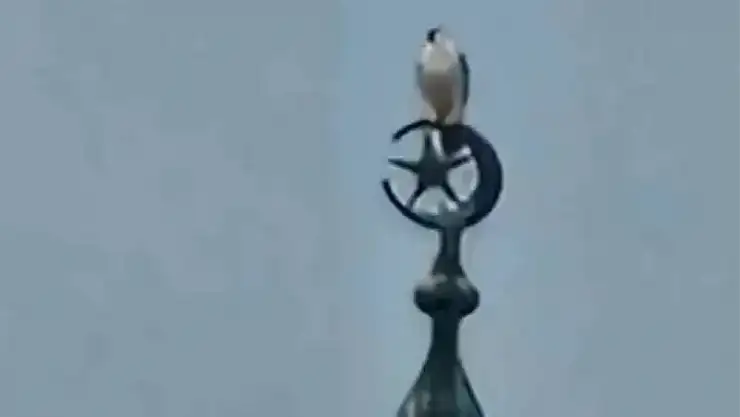 Bartın'da gökdoğan heyecanı