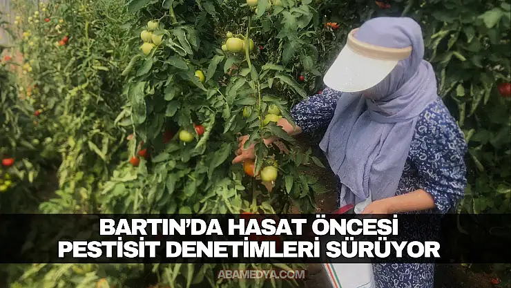 Bartın'da Hasat Öncesi Pestisit Denetimleri Sürüyor