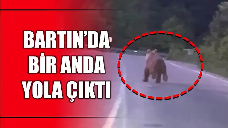 Bartın'da otomobilin önüne çıktı