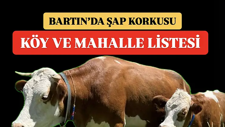 Bartın'da ŞAP alarmı