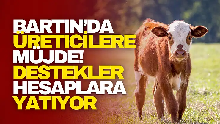 Bartın'da Üreticilere Müjde