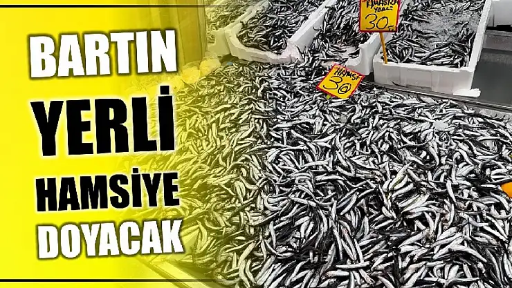 Bartın hamsiye doyacak