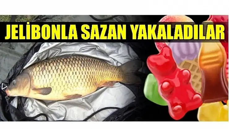 BARTIN IRMAĞINDA JELİBONLA SAZAN AVLADILAR
