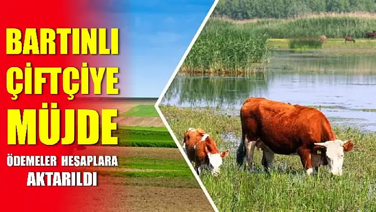 Bartınlı çiftçinin dikkatine