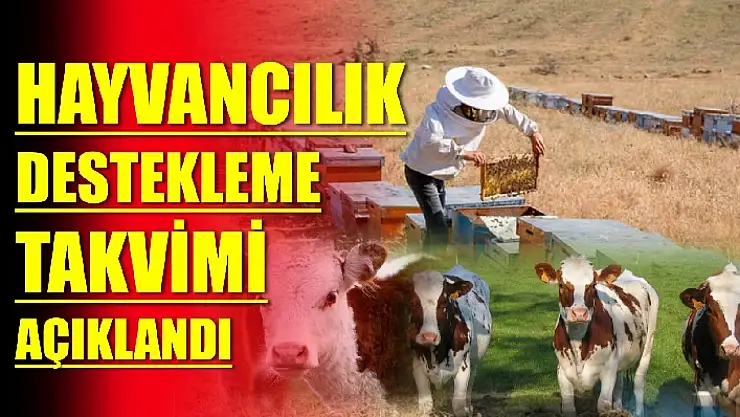Bartınlı üreticinin dikkatine