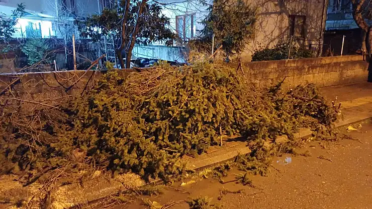 Belediyeden fırtına nöbeti