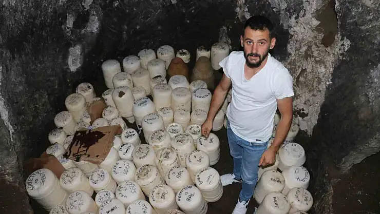 Binlerce yıllık mağara peynir deposuna dönüştü