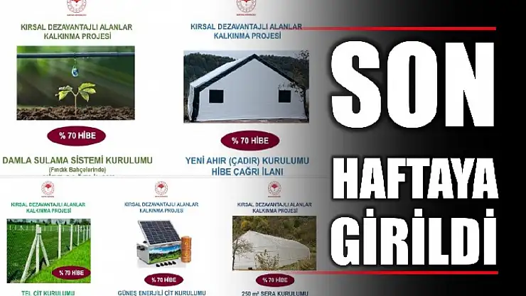 Bireysel Hibe başvuruları için son günler