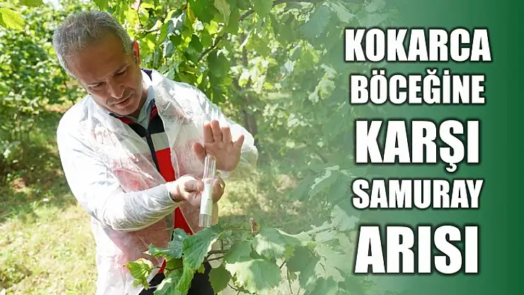 Biyolojik mücadele devam ediyor