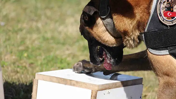 Bolu'da 7 farklı uyuşturucu operasyonu: 3 tutuklama
