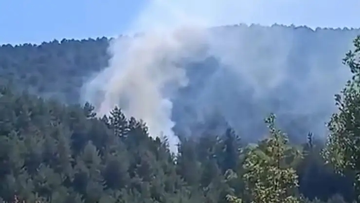 Bolu'da çıkan orman yangını kısa sürede söndürüldü